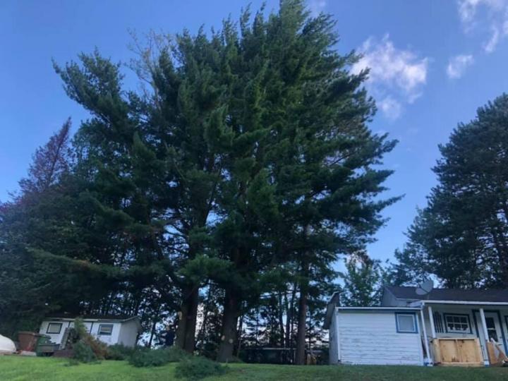 Haubanage Victoriaville