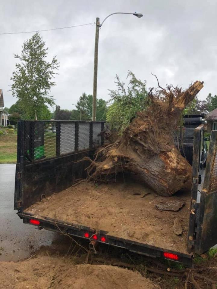 Travaux d’essouchage Victoriaville