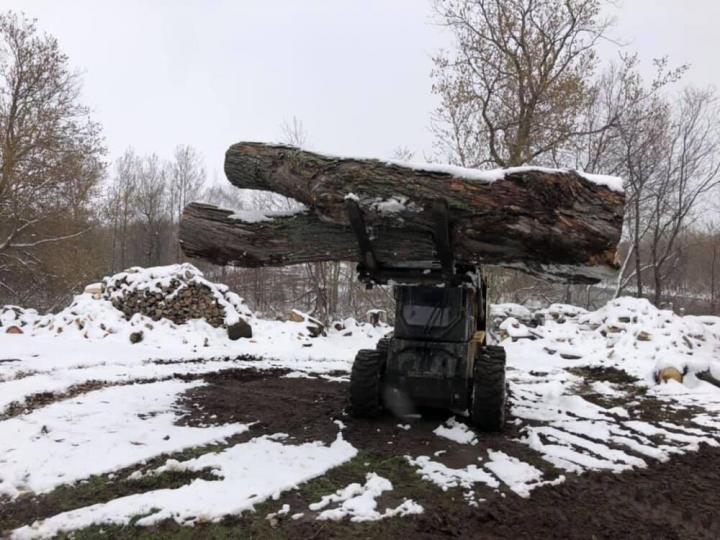 Service de déboisement Victoriaville 