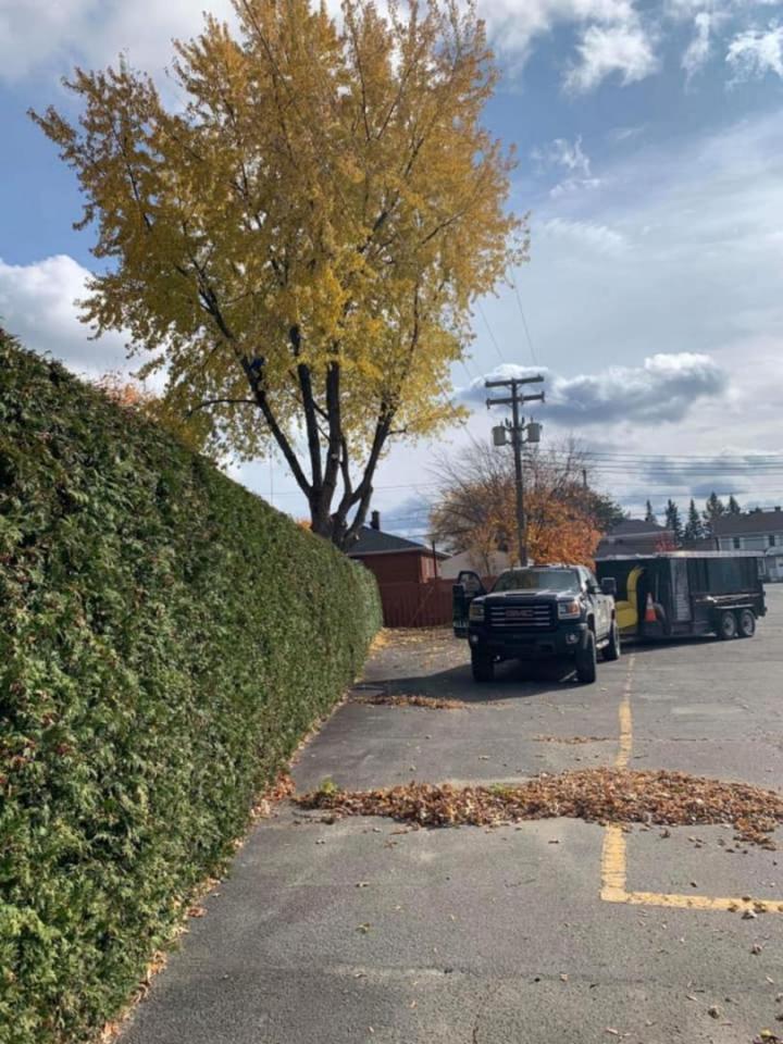 Travaux d’élagage Victoriaville