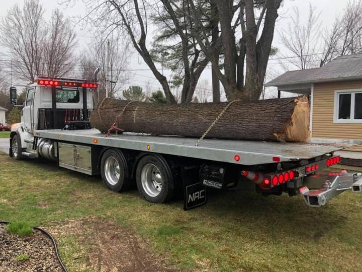 Compagnie spécialisée en abattage d'arbres Victoriaville