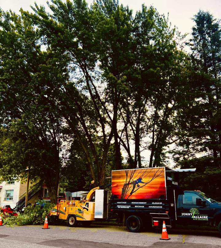 Compagnie spécialisée dans l’abattage d'arbres à Plessisville