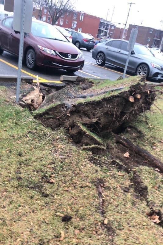 essouchage Victoriaville