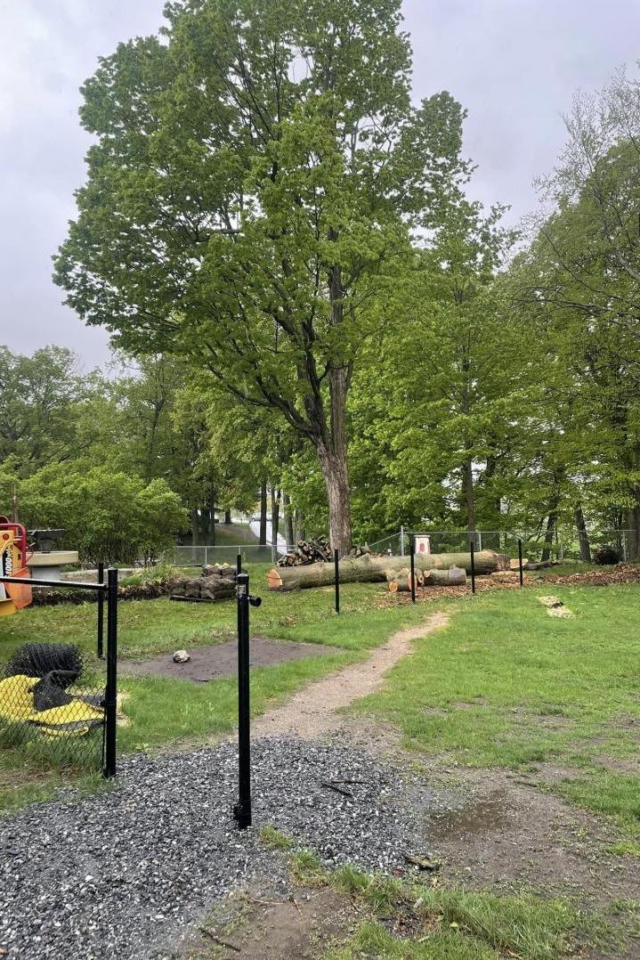 Abattage d'arbres Victoriaville