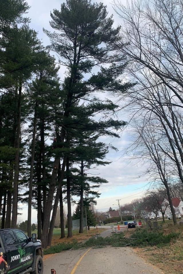 élagage Victoriaville