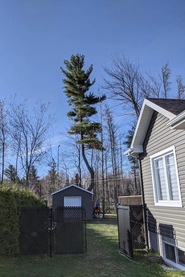 essouchage Victoriaville