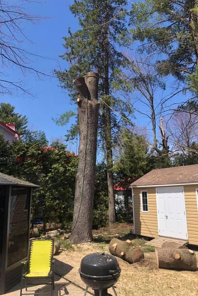 essouchage Victoriaville