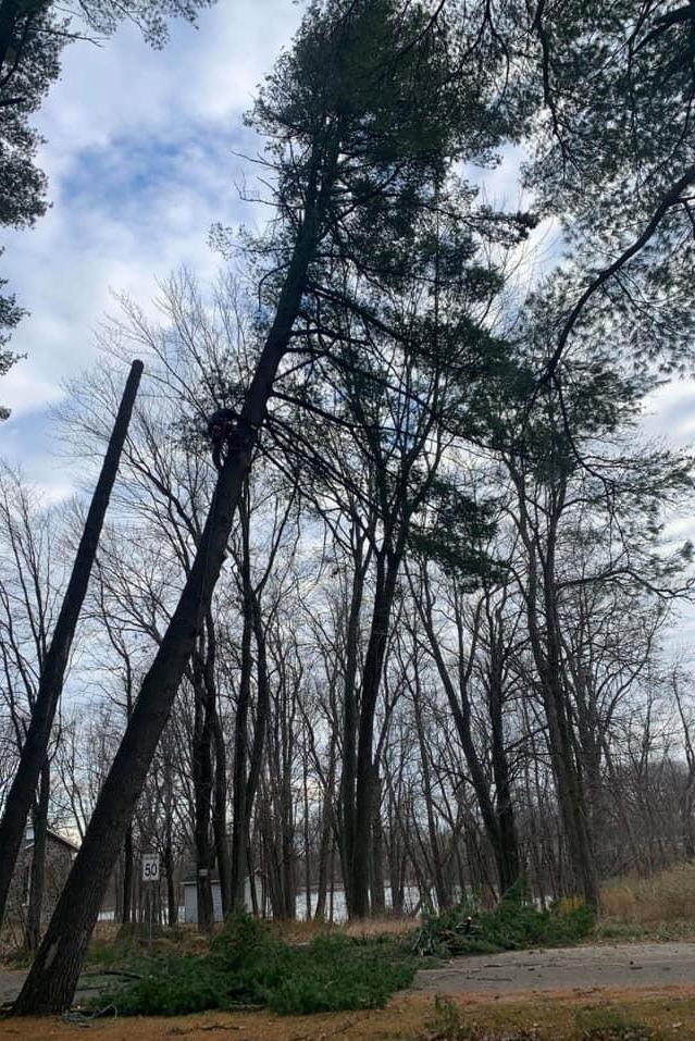 essouchage Victoriaville