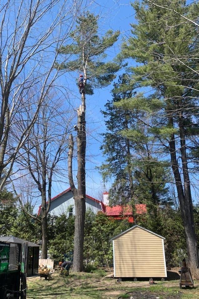 essouchage Victoriaville