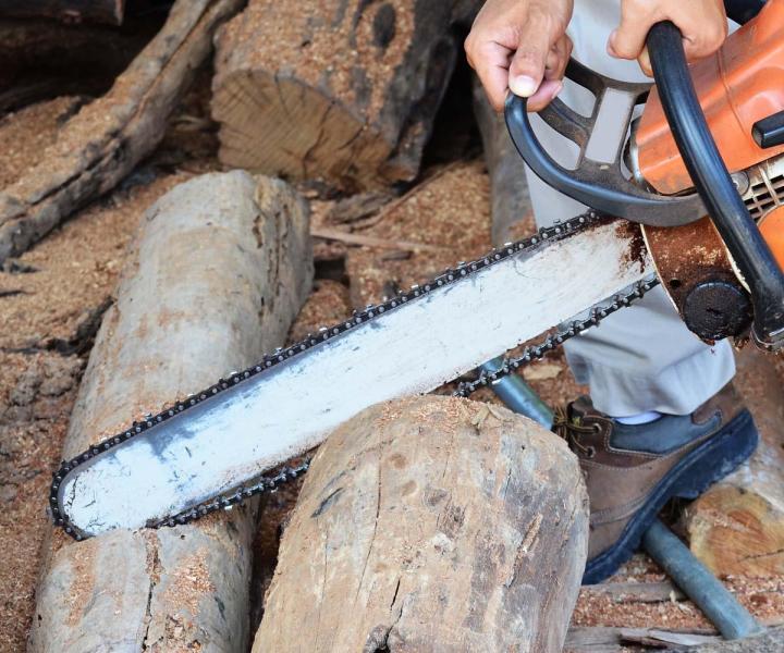 Réalisation des travaux d’élagage à Princeville